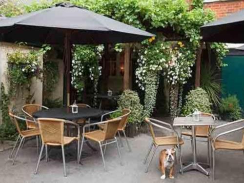 The Lamb Inn Marlborough Extérieur photo